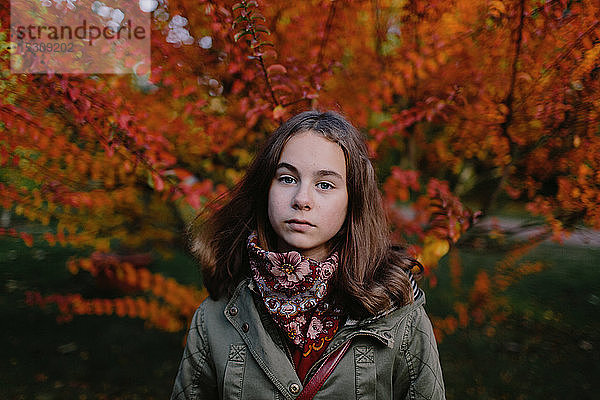 Porträt eines jungen Mädchens in einem Park,  im Hintergrund ein herbstlicher Baum