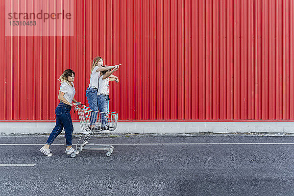 Mutter mit ihren Kindern mit Einkaufswagen