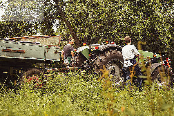 Zwei Personen mit Traktor bei der Kirschenernte im Obstgarten