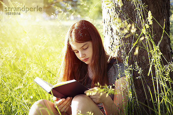 An Baumstamm gelehntes Mädchen liest ein Buch