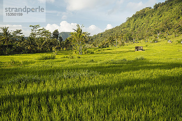 Landschaft bei Sidemen,  Bali,  Indonesien,  Südostasien,  Asien