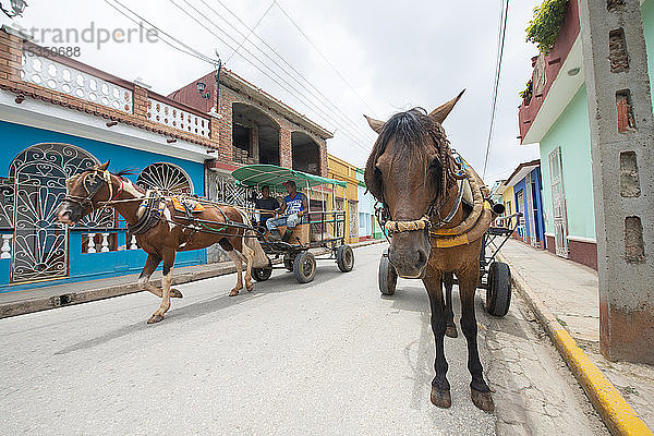 Pferde,  die Karren entlang einer Straße in Trinidad,  Kuba,  Westindien,  Karibik,  Mittelamerika ziehen