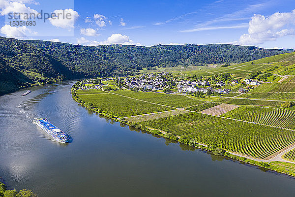 Flusskreuzfahrtschiff auf der Mosel bei Mehring,  Moseltal,  Rheinland-Pfalz,  Deutschland,  Europa