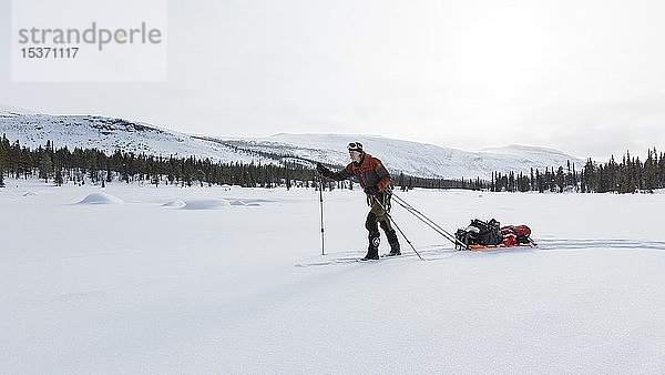 Skitourengeher mit Pulka im Schnee,  Kungsleden oder Königsweg,  Provinz Lappland,  Schweden,  Europa