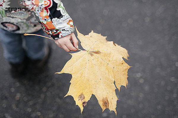 Die Hand eines kleinen Mädchens hält ein Herbstblatt