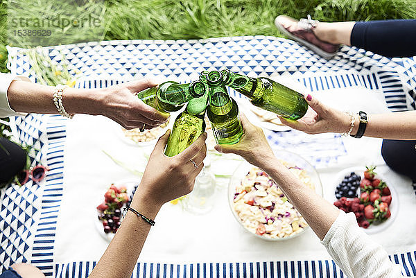 Draufsicht auf Frauen,  die bei einem Picknick im Park an Bierflaschen klirren