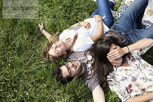 Draufsicht auf glückliche Freunde,  die auf einer Wiese im Park liegen