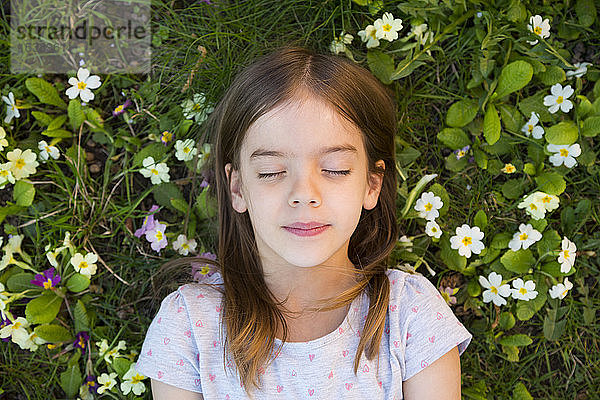 Bildnis eines auf einer Blumenwiese liegenden Mädchens,  Draufsicht