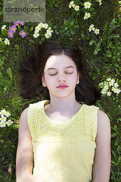 Bildnis eines auf einer Blumenwiese liegenden Mädchens,  Draufsicht