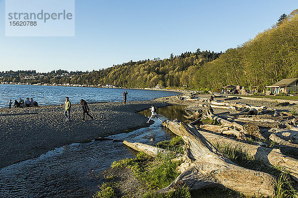 Klarer Himmel über Menschen,  die sich am mit Treibholz gefüllten Küstenstrand entspannen,  Seattle,  Washington,  USA