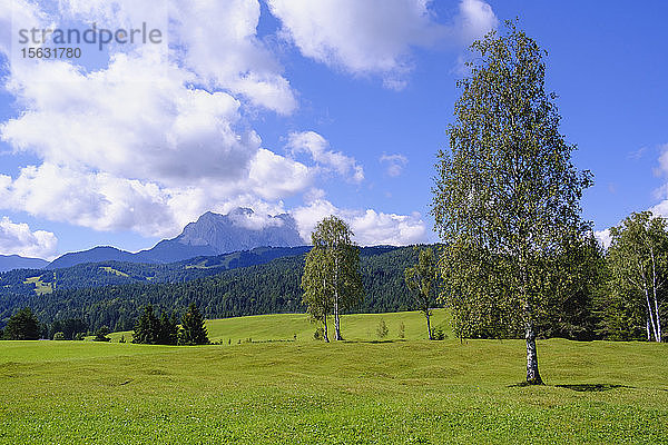 Landschaftliche Ansicht der Buckelwiesen gegen den Himmel bei Mittenwald,  Werdenfelser Land,  Oberbayern,  Bayern,  Deutschland