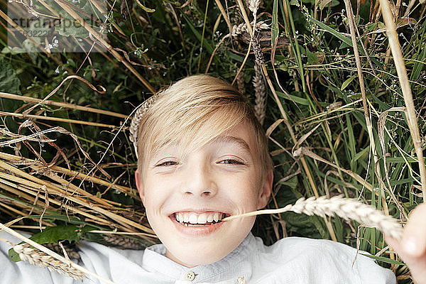 Bildnis eines lächelnden blonden Jungen mit Haferohr im Mund in einem Haferfeld liegend