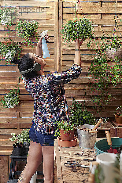 Glückliche Frau,  die auf ihrer Terrasse Wasser auf Pflanzen spritzt,  während sie Musik hört
