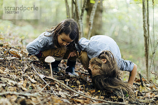 Zwei Kinder untersuchen Pilze im Wald