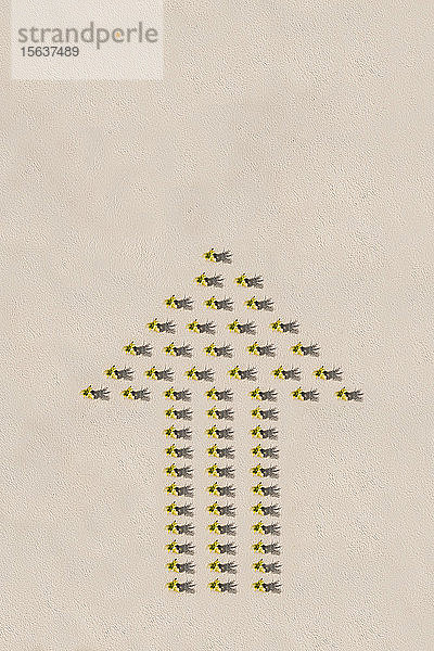 Pfeilschild mit gelben Blumen auf Sand,  die auf einen Sonnenschirm zeigen
