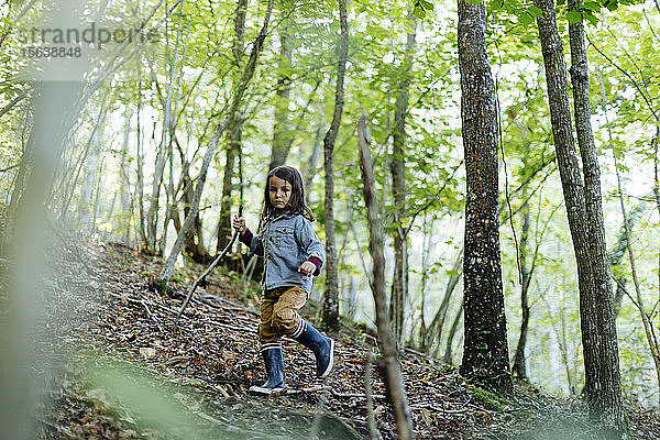 Kind geht im Wald spazieren