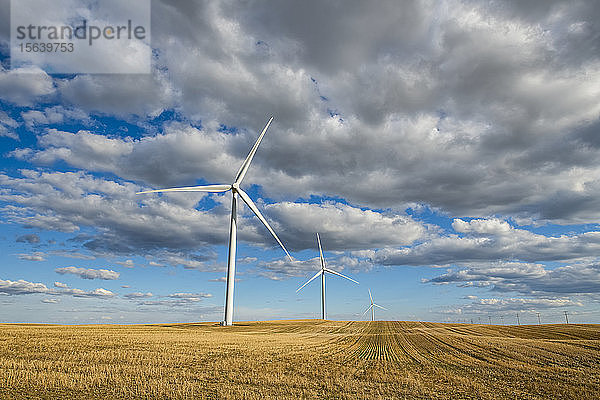 Windturbinen auf einem weiten Ackerland unter einem bewölkten Himmel; Saskatchewan,  Kanada