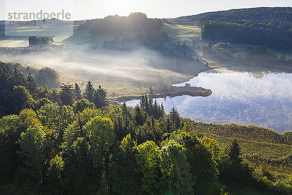Deutschland,  Bayern,  Oberbayern,  Tölzer Land,  Schädlich,  Blick auf den Teich in der Landschaft bei Morgenlicht und Nebel