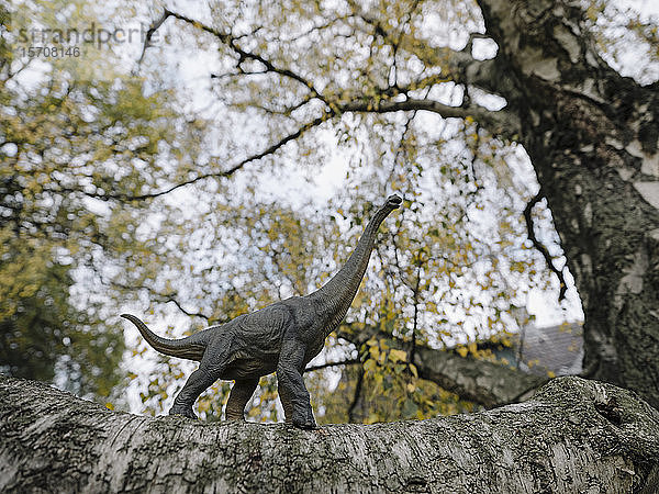 Dinosaurier-Figur auf einem Baum im Herbst