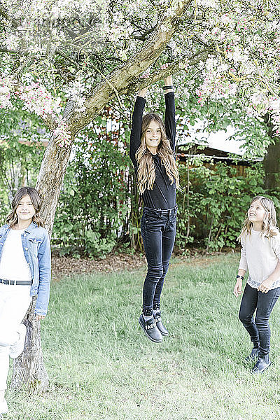 Porträt von drei glücklichen Mädchen an einem Baum