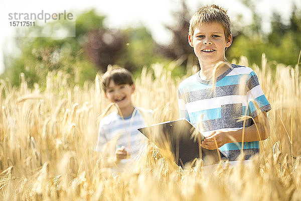 Kinder untersuchen Weizen auf dem Feld
