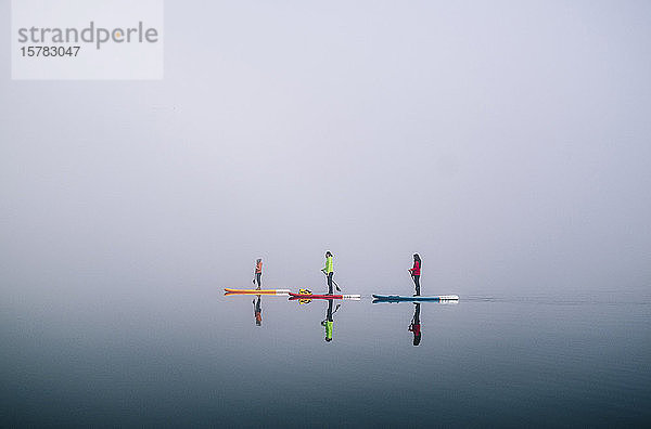 Drei Personen stehen beim Paddel-Surfen auf einem See im Nebel auf