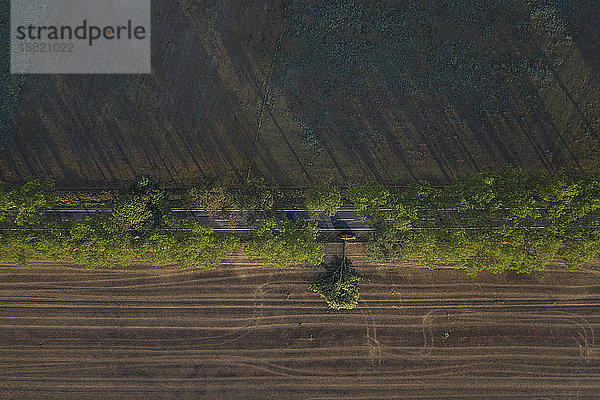 Deutschland,  Brandenburg,  Drone-Ansicht einer baumbestandenen Landstraße,  die durch ein landwirtschaftliches Feld führt