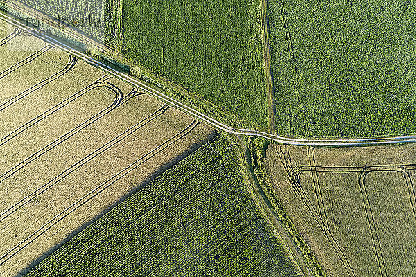 Deutschland,  Bayern,  Drone-Ansicht von Patchwork-Feldern im Sommer
