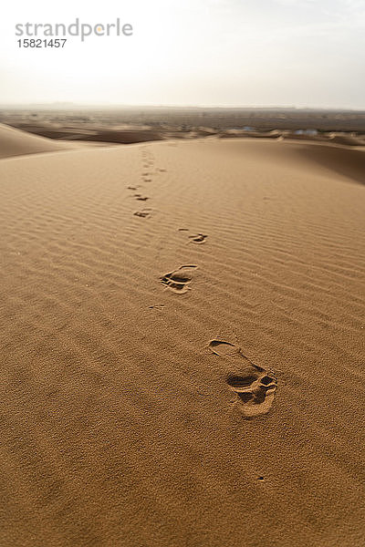 Fussspuren in Sanddünen in der Wüste Sahara,  Merzouga,  Marokko