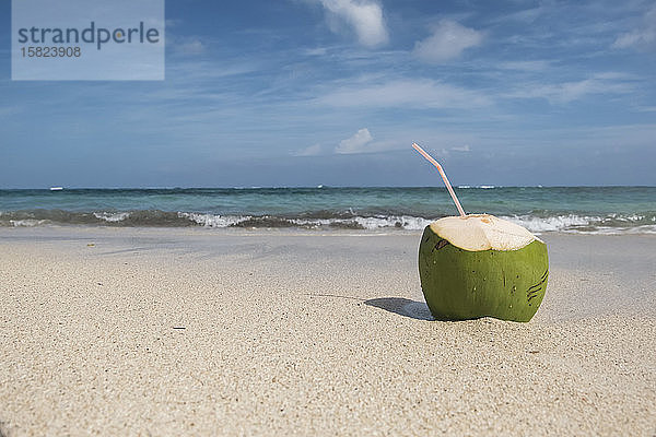 Kokosnuss am Strand,  Kuba