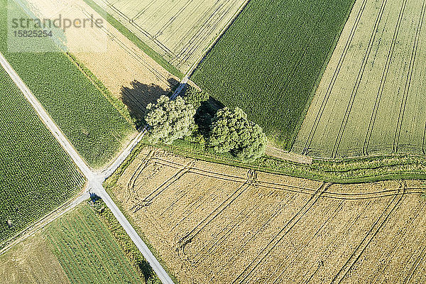 Deutschland,  Bayern,  Drone-Ansicht von Patchwork-Feldern im Sommer