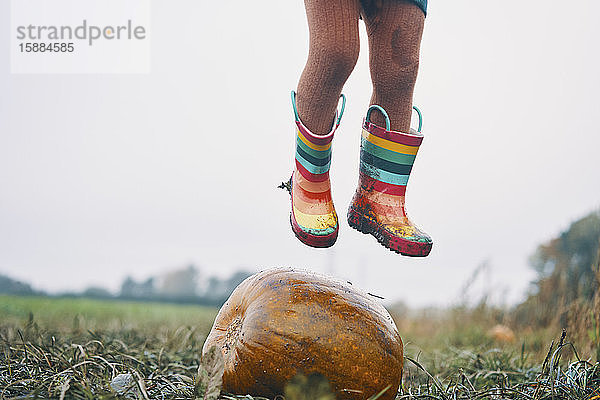 Die Füße eines Kindes in gestreiften Gummistiefeln,  das auf einem Feld über einen Kürbis springt.