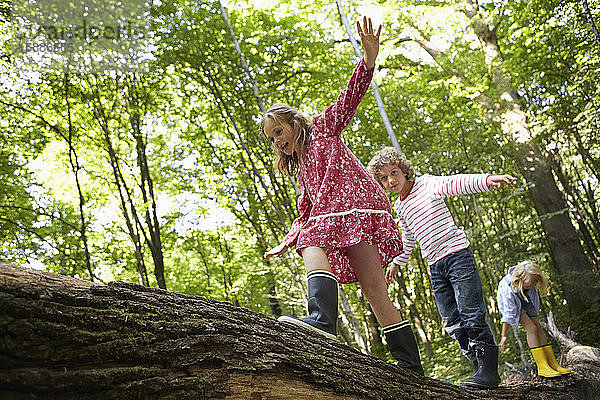 Kinder balancieren auf Baumstämmen im Wald