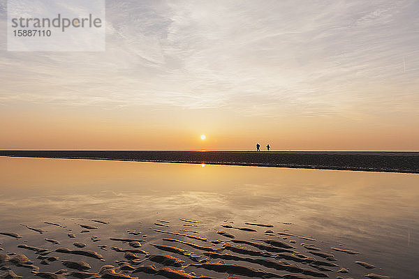 Entfernte Ansicht der Silhouetten von Menschen am Strand gegen den Himmel bei Sonnenuntergang,  Nordseeküste,  Flandern,  Belgien