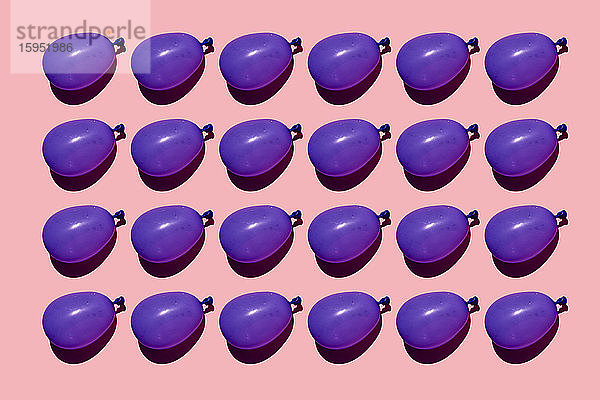 Studioaufnahme von Reihen violetter Wasserballons