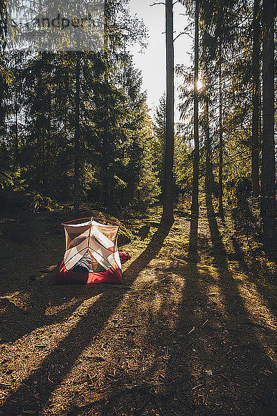 Zelt im Wald,  in dem eine Person in einem Schlafsack schläft