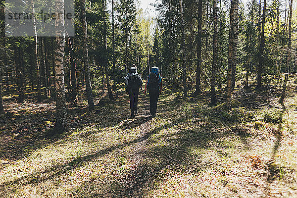 Junge Leute wandern im Wald,  Sormlandsleden,  Schweden