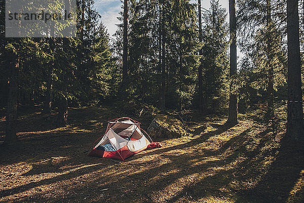 Zelt im Wald,  in dem eine Person in einem Schlafsack schläft