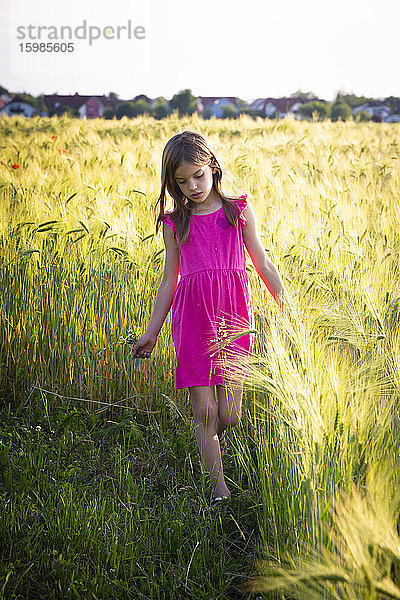 Porträt eines kleinen Mädchens,  das am Rande eines Roggenfeldes spazieren geht