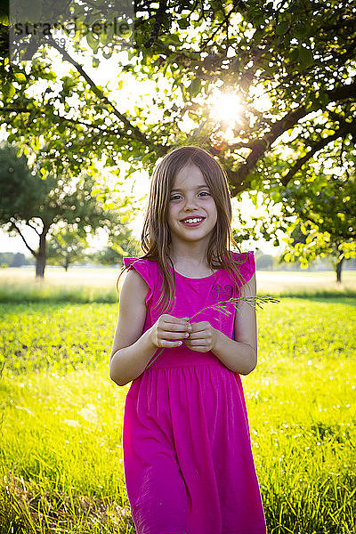 Porträt eines kleinen Mädchens in einem leuchtend rosa Kleid,  das mit einem Grashalm in der Hand in die Kamera lächelt