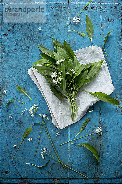 Frische Bärlauchblätter und -blüten (Allium ursinum)