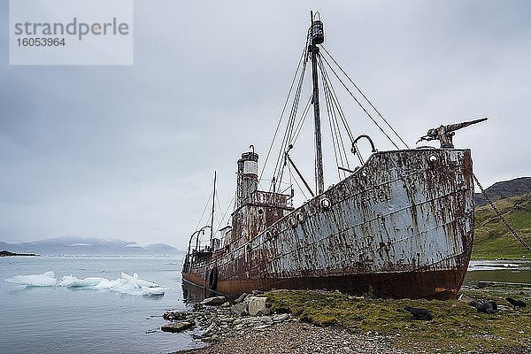 UK,  Südgeorgien und Südliche Sandwichinseln,  Grytviken,  Schiffswrack eines alten Walfangbootes