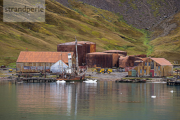 UK,  Südgeorgien und Südliche Sandwichinseln,  Grytviken,  Verlassene Walfangstation in der King Edward Bucht