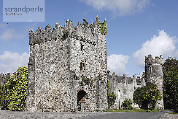 Irland,  Leinster,  Grafschaft Fingal,  Ansicht der Burg Corr
