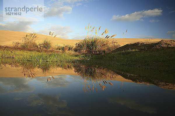 Neuseeland,  Spiegelungen in einem See,  Sanddünen im Hintergrund