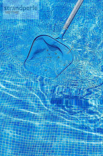 Hochformatige Ansicht der Schwimmbadreinigung mit Netz an einem sonnigen Tag