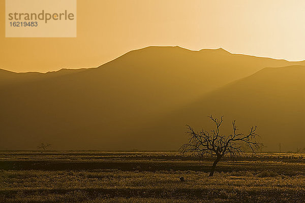 Afrika,  Namibia,  Tsauchab River,  Landschaft bei Sonnenuntergang