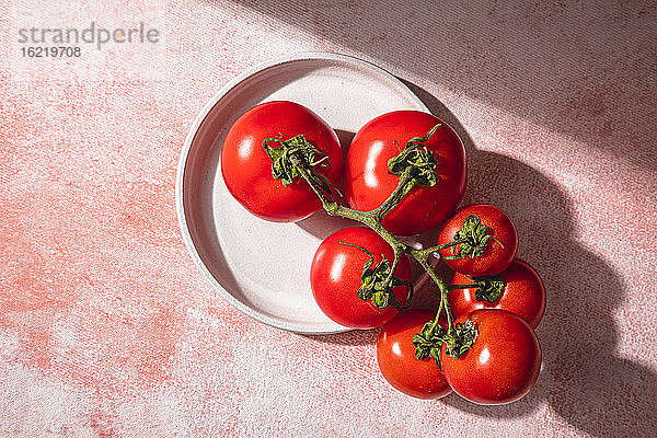 Studioaufnahme von frischen Tomaten