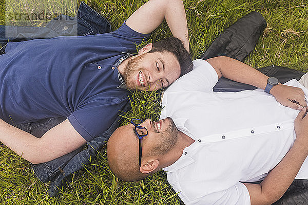 Lächelndes homosexuelles Paar,  das sich gegenseitig ansieht,  während es auf einer Wiese im Park liegt