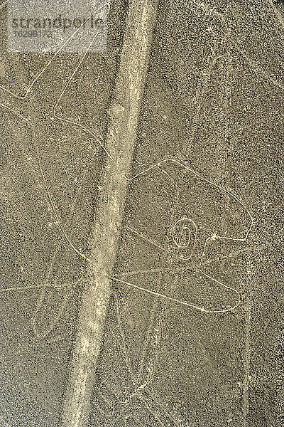 Peru,  Ica,  Nasca-Linien,  Ansicht des Wals,  Luftaufnahme
